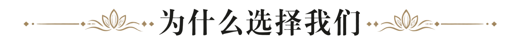 为什么选择我们
